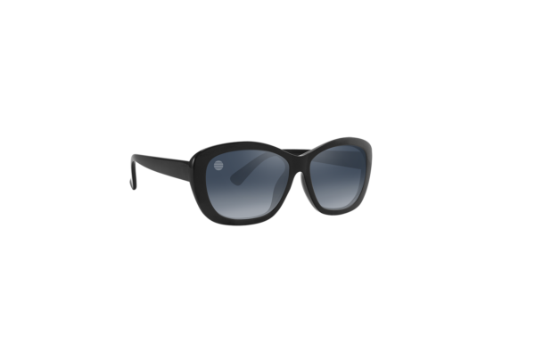 DG40 - PC Women's Fashion Sunglasses - Image 2