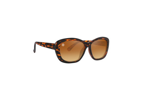 DG40 - PC Women's Fashion Sunglasses - Image 8